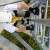 Стационарная анкерная линия Vertirail